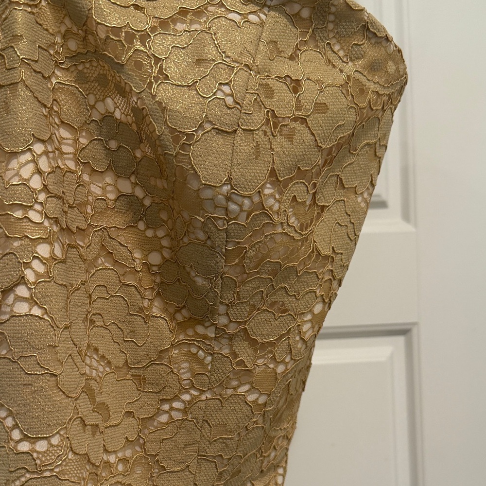 Lilly Pulitzer Strapless Gold Lace Gown - Picture 5 of 6
